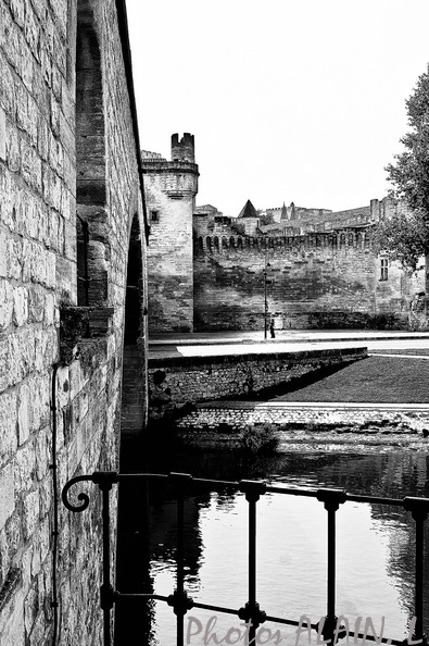 Avignon - Sous le pont...N et B