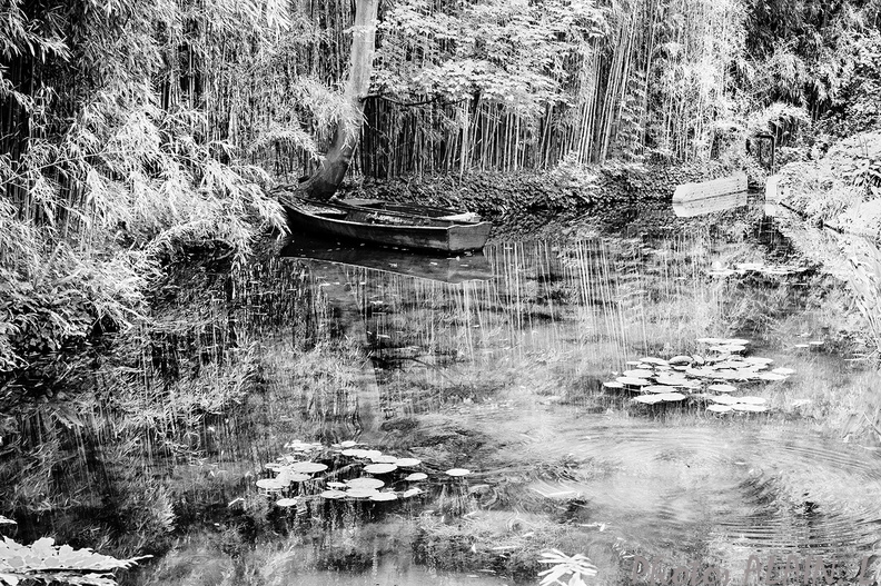 Giverny - Les barques.jpg