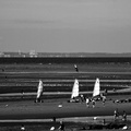 1-Cabourg - Chars à voiles