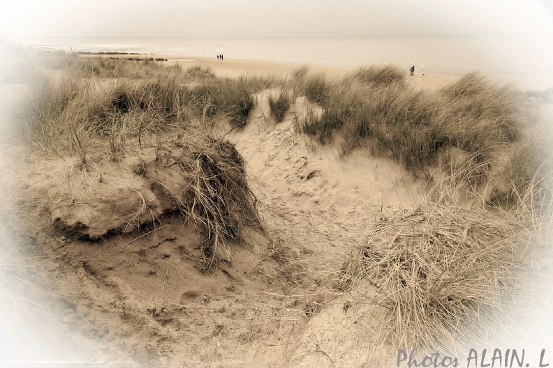 2-Cabourg - La dune.jpg