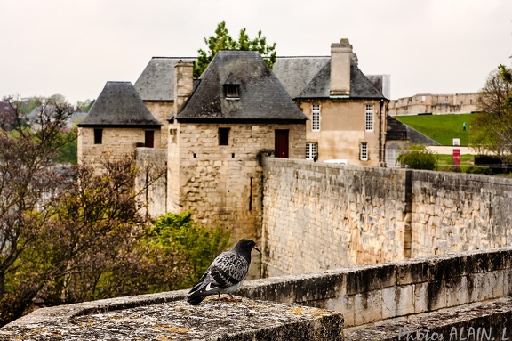 Caen - Le chateau - Ramparts