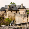 Caen - Le chateau - Ramparts.jpg