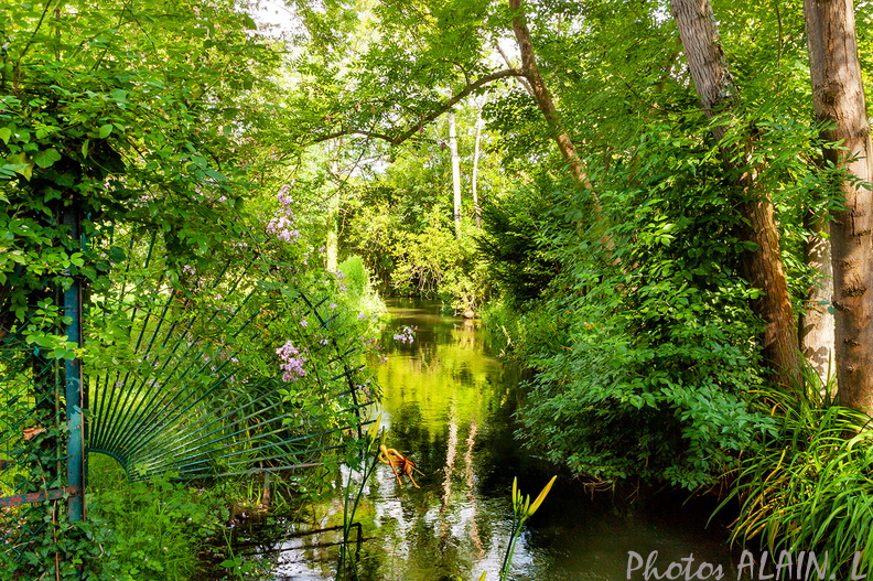 Giverny - Le jardin japonnais.jpg