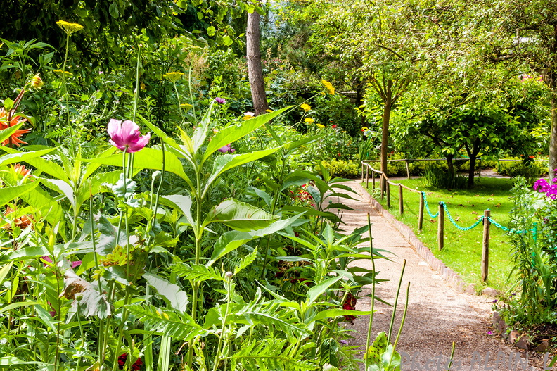 Giverny - Un chemin de fleurs.jpg