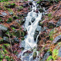 Obernai - Petite cascade