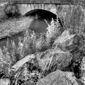 Honfleur - Petit pont