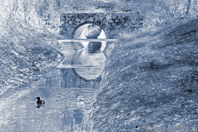 Hiver Maubuisson Tunel cyanotype.jpg