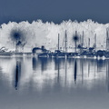 Lacanau - Le port cyanotype.jpg