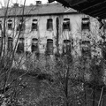 Obernai - Abandon