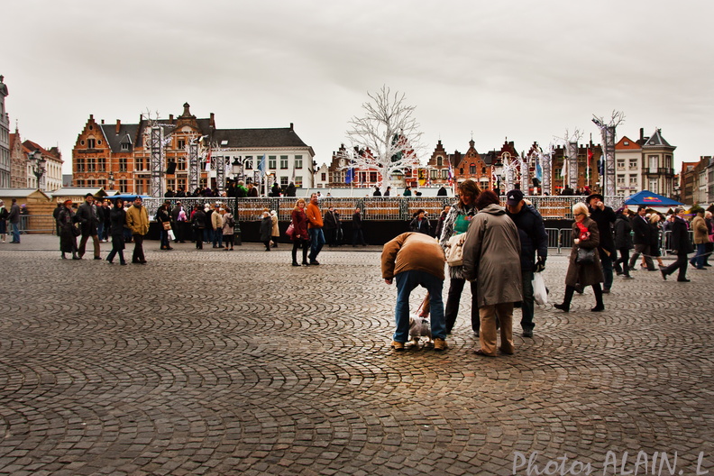 Brugge - Grand Place - Le chien.jpg