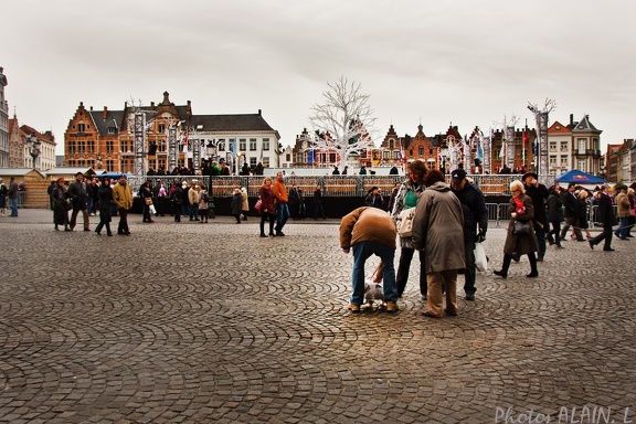 Brugge - Grand Place - Le chien