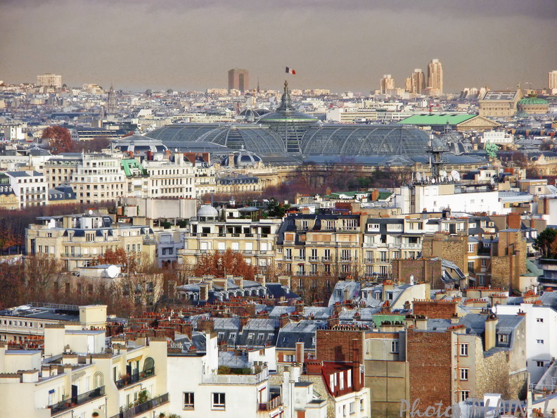 Paris - Tour Eiffel - Toit Grand Palais.jpg
