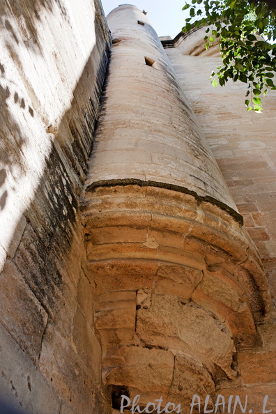 Avignon - Le palais    une tour