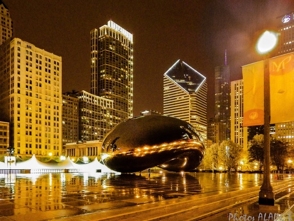 Chicago - Haricot by night