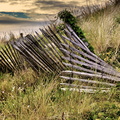Cabourg - Plage - Vieille barriere de la dune.jpg