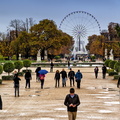 Paris - Jardin des Tuileries.jpg