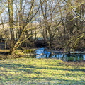 Cheverny - ruisseau