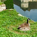 Villarceaux 5