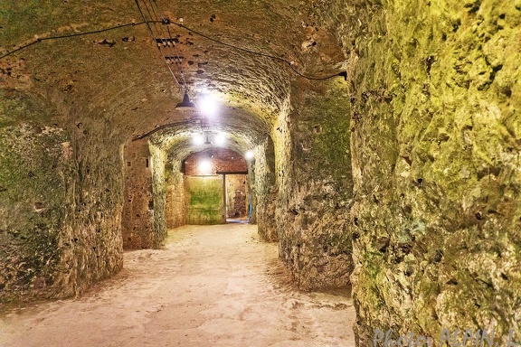 Chateau La roche Guyon 13