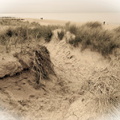 2-Cabourg - La dune