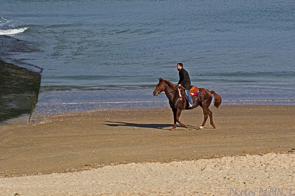 Cabourg - A cheval