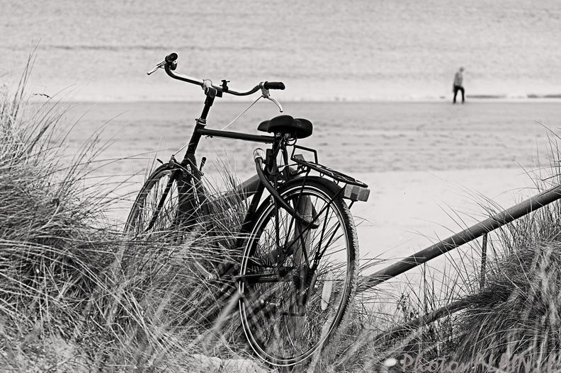 Cabourg - Le velo de la plage.jpg