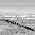 Cabourg - Gouter sur plage deserte NB