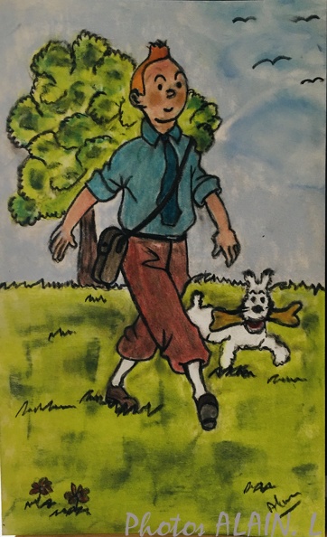 BD-Tintin.JPG