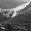 Porto-Vallee du Douro 8
