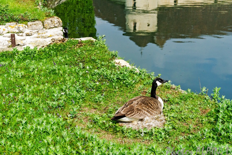 Villarceaux 5